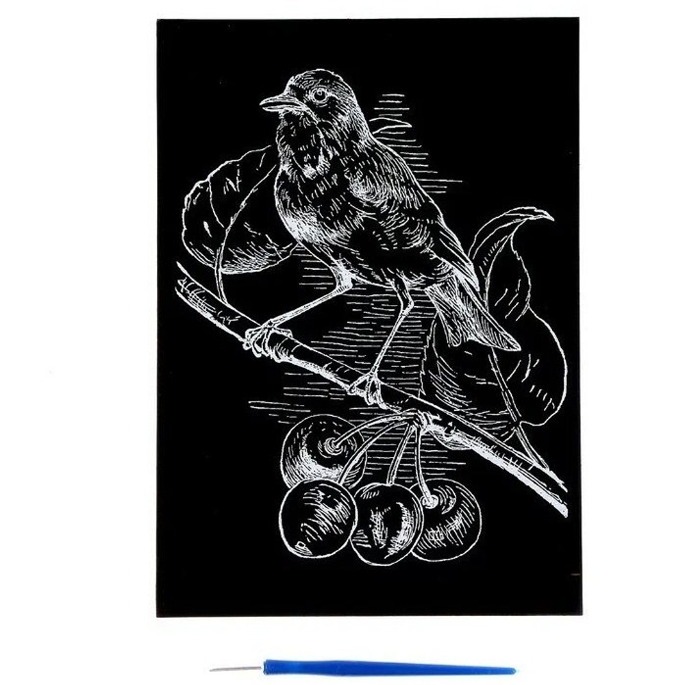 Гравюра с эффектом золото Ракета, А4, 20*30 см, пакет с европодвесом,"Птица на вишне"