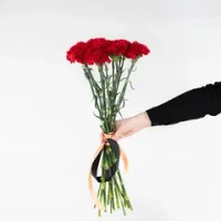 Bouquet of 15 red tulips