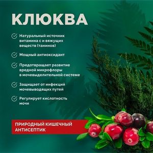 Уценка! Срок до 05.2024/ Сухой корм для кошек Palpito Gurman Птица с креветкой и клюквой