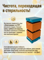 Улей ППУ Нижегородец 10 рамок Комплект 2 корпуса Дадан