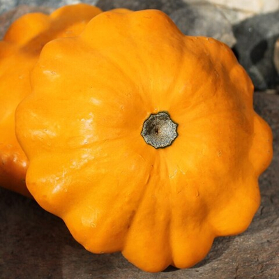 Патиссон Санни де лайт F1 - Sanny Deliht F1 1000шт