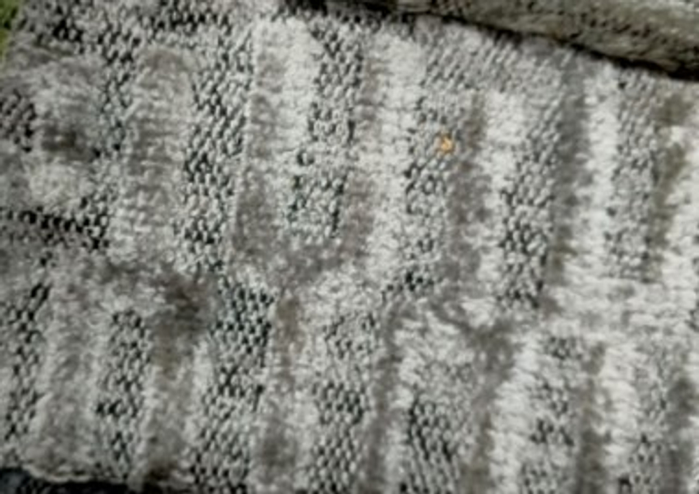 Шенилл Adelante (Аделанте) 03