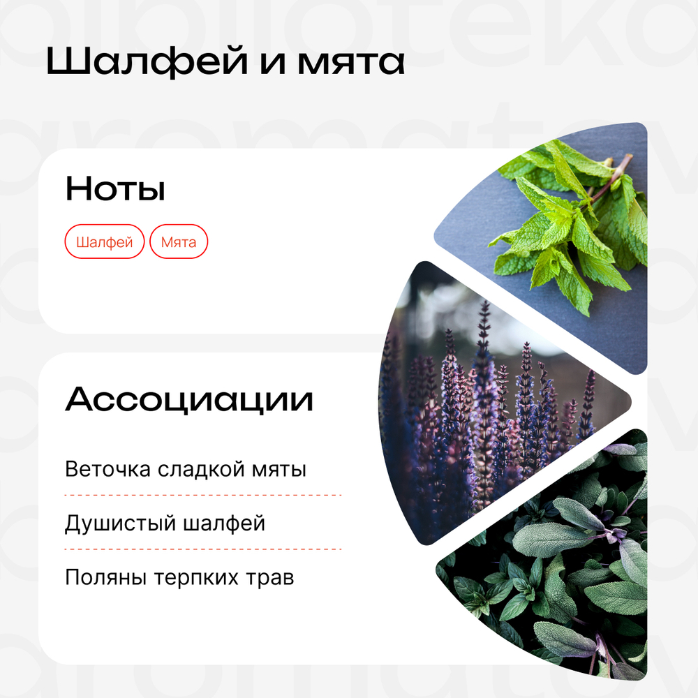 Шалфей и мята
