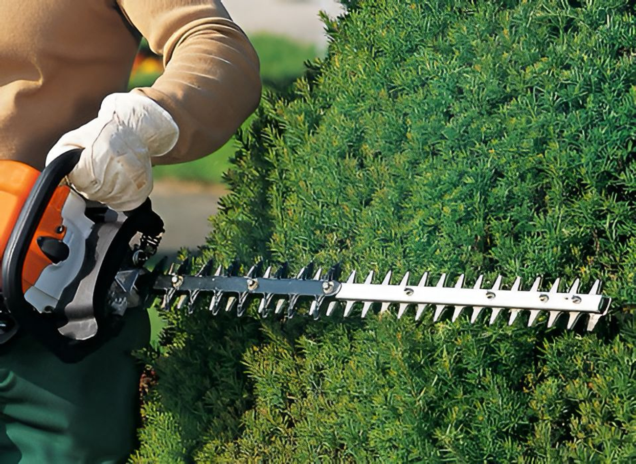 Как подстричь живую изгородь бензиновым кусторезом
