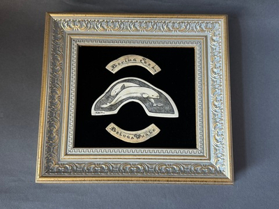 Белая белуга