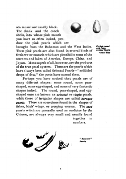 Japanese Culture Pearls: A Successful Case of Science Applied in Aid of . | K. Mikimoto