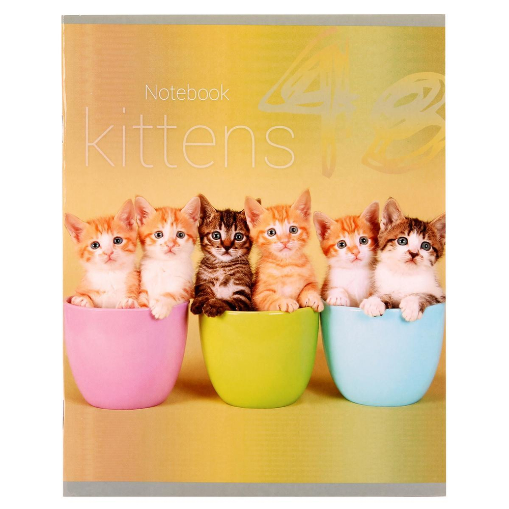 Тетрадь школьная А5 48л. клетка офсет №1 (обложка картон) в ассорт. (КПК)