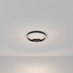 Потолочный светильник Maytoni MOD058CL-L25BK