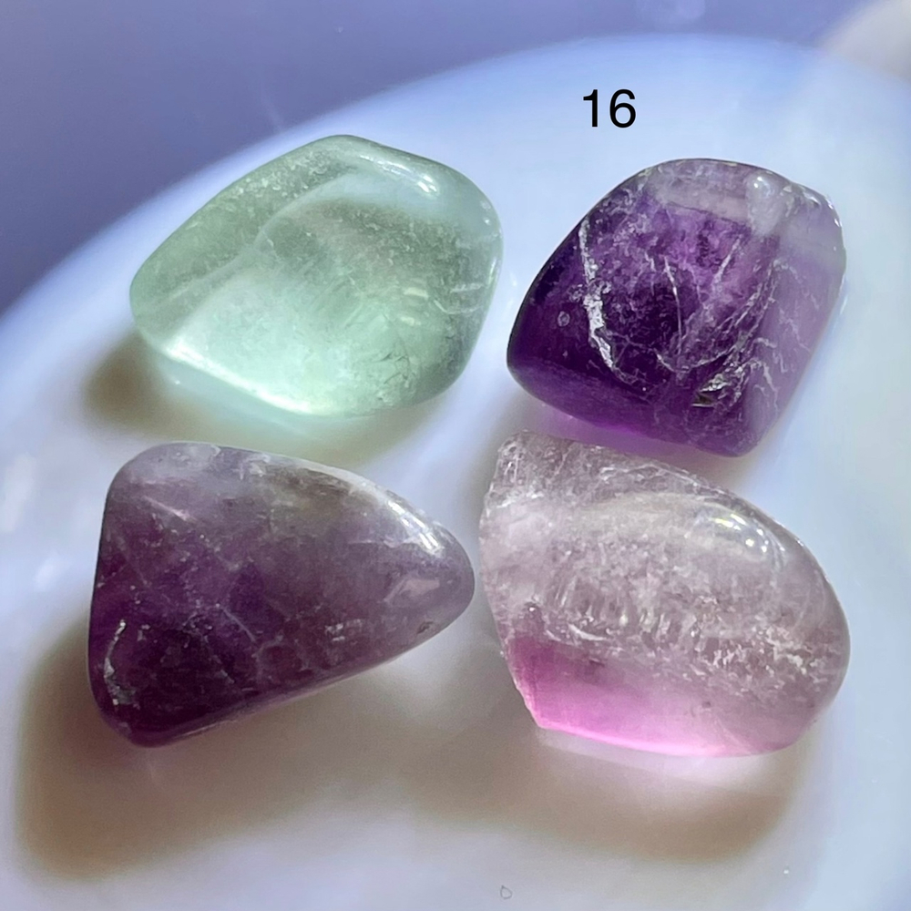 49558 Флюорит Галтовка 10-15мм набор--19