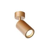 Накладной светильник Favourite Angularis 2802-1U