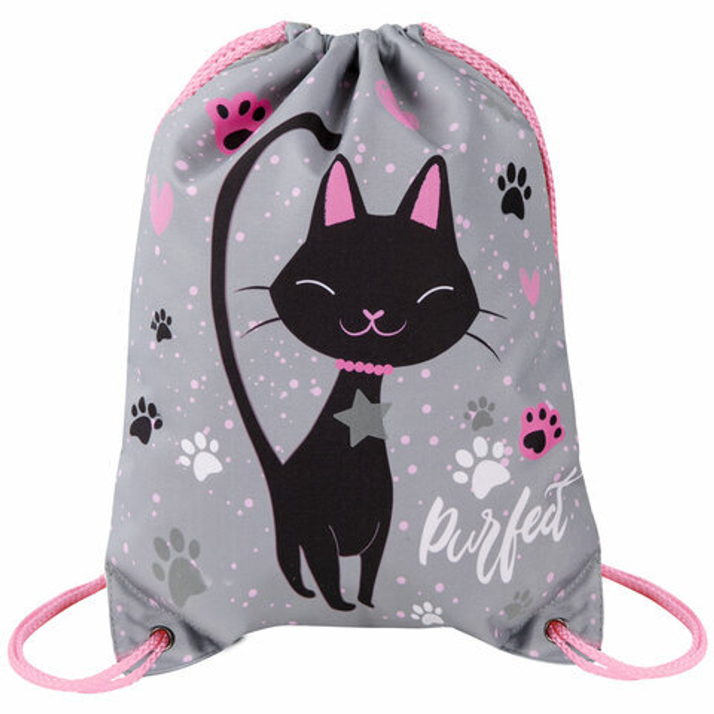 Мешок для обуви BRAUBERG PREMIUM, карман, подкладка, светоотражайка, 43х33 см, "Elegant cat"