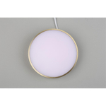 Потолочный светодиодный светильник Aployt Evon APL.0114.29.18