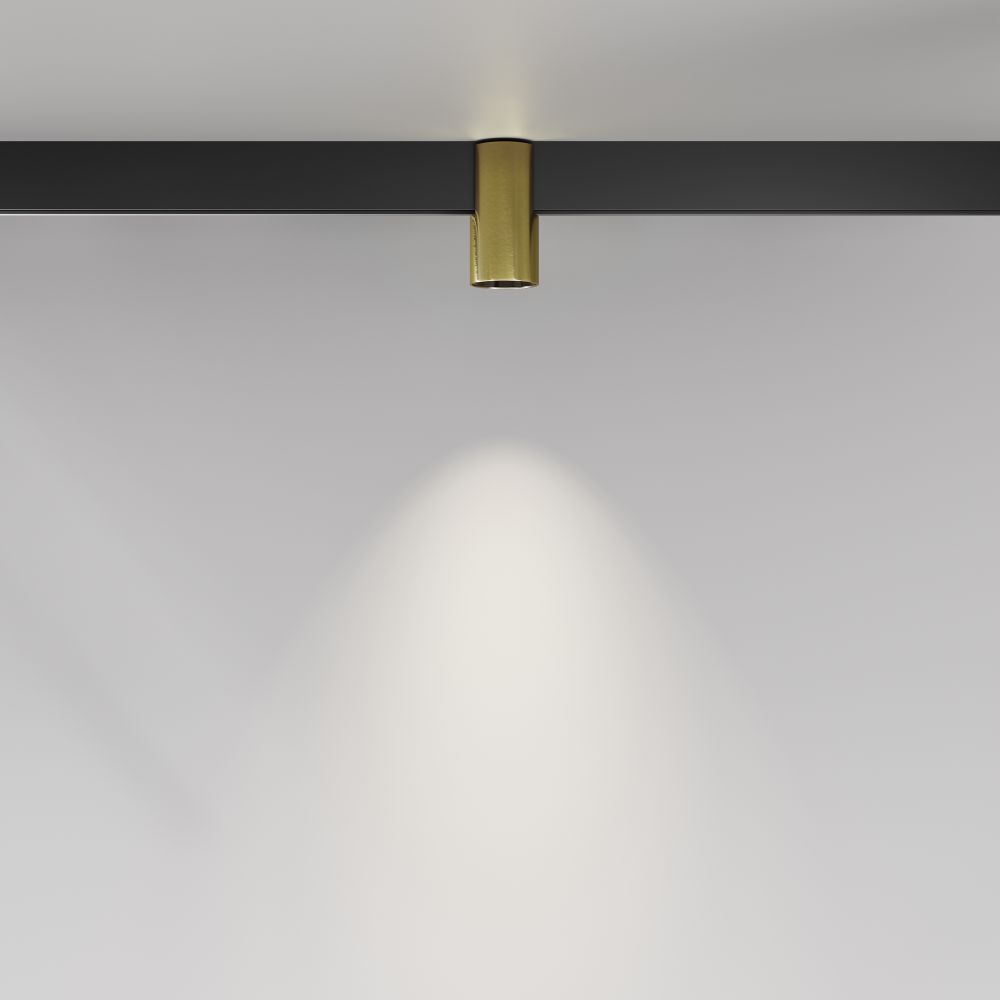 Трековый магнитный светодиодный светильник Maytoni   TR122-2-7W4K-BS