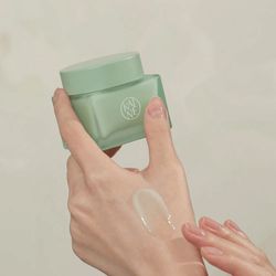 KAINE Успокаивающий аква-крем Green Aqua Soothing Cream (70 мл)