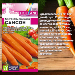Лучшие сорта моркови для Вашего сада
