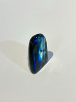 Срез Лабрадора S