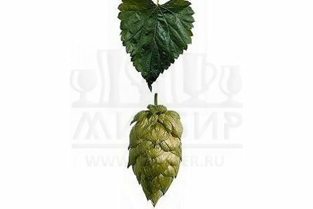 Хмель Tradition, 1 кг
