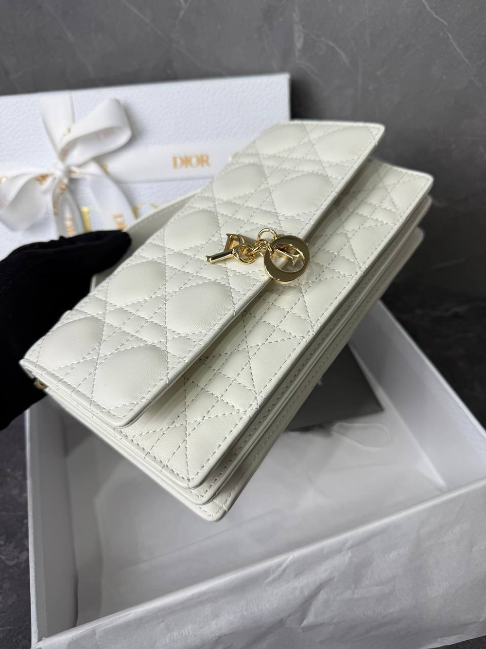 Сумка Christian Dior