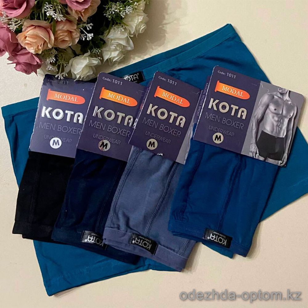 Трусы Муж KOTA 960-1009