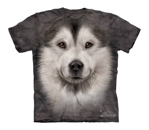 Alaskan Malamute Face