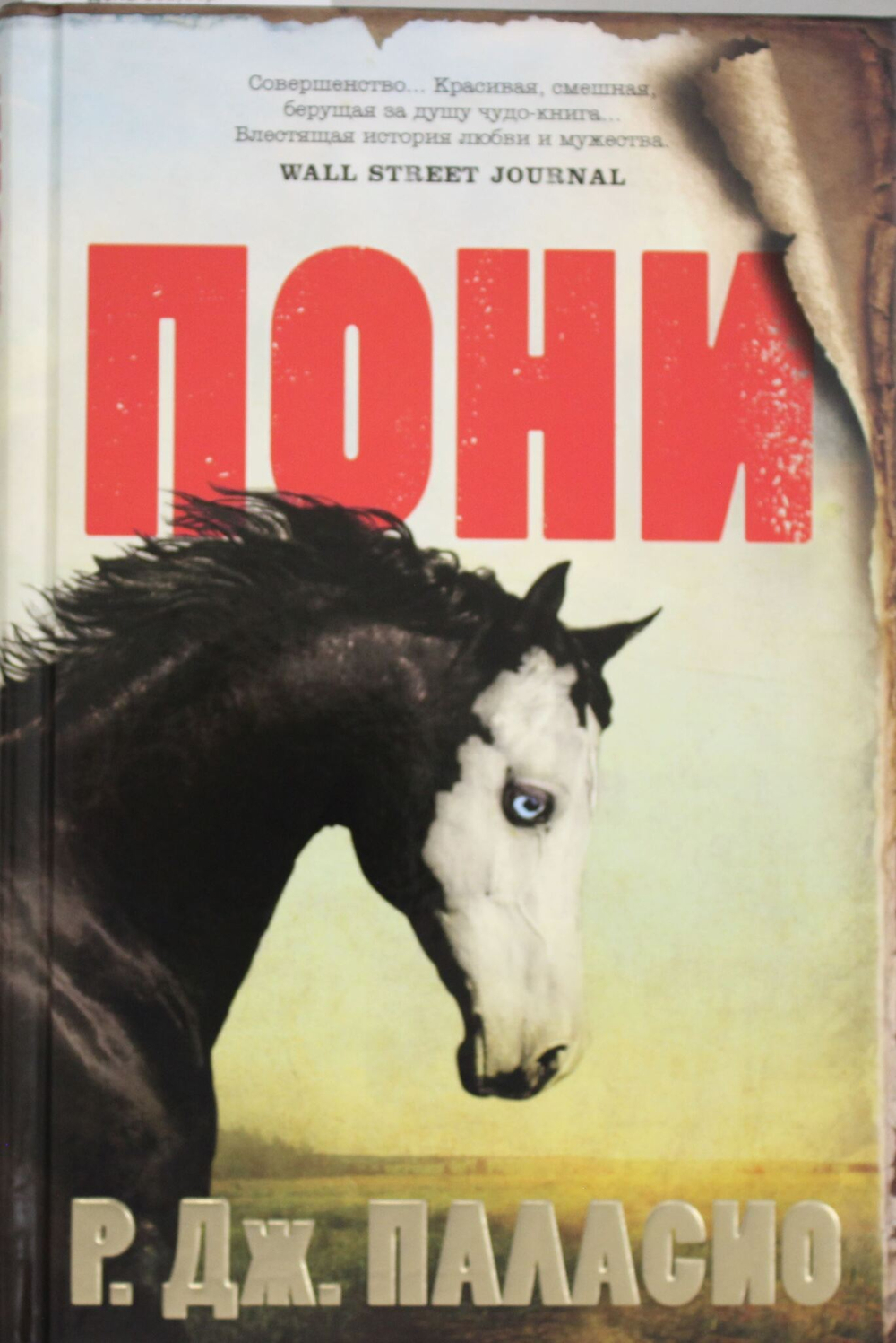 Пони