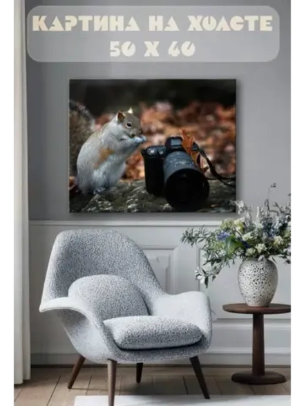 Картина на стену 40 X 50 Белка и фотоаппарат