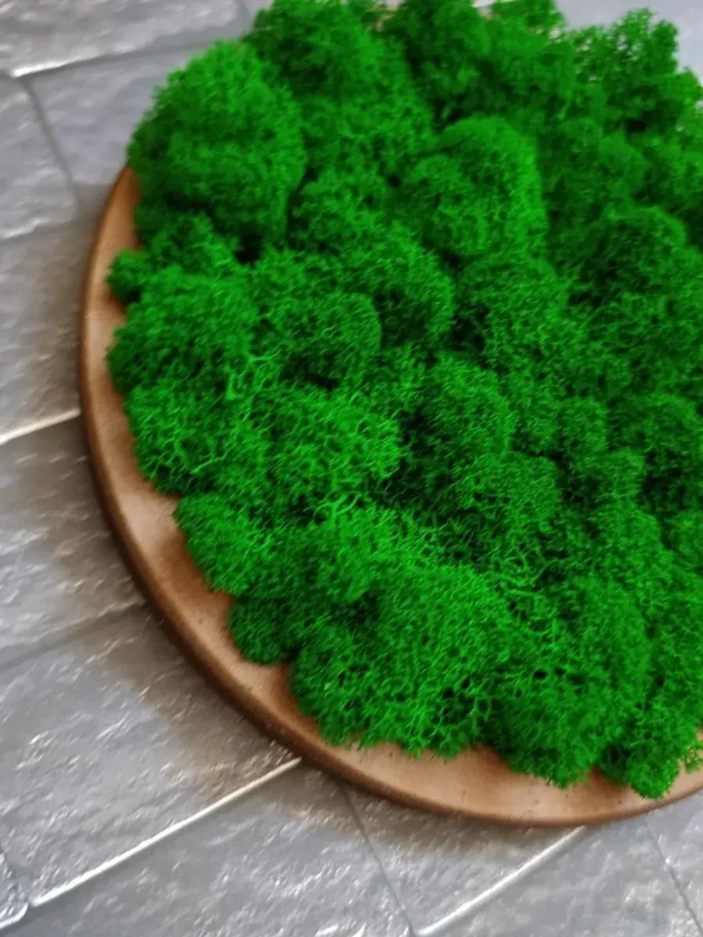 Круглое панно на стену из мха набор ОРЕХ 20 см. 3 шт.