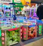 Детский игровой аппарат «Ранчо»