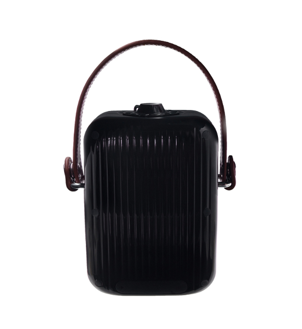 Беспроводная колонка Alive Audio Journey (Black)
