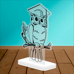 Акриловый приз СОВА 3553