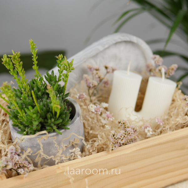 Подарочный бокс суккулент + свеча №3