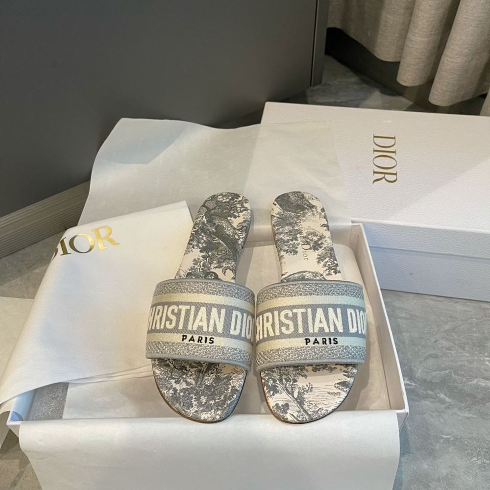 Christian Dior Dway Slide
