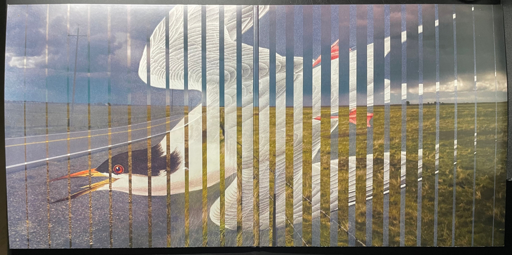 Pat Metheny ‎– Road To The Sun 2LP (Германия 2021г.)