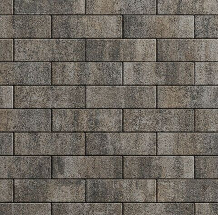 Тротуарная плитка ПРЯМОУГОЛЬНИК 300х100 мм - Листопад гранит Старый замок