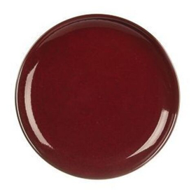 Блюдо для подачи Evolution 20*2 см, P.L. Proff Cuisine