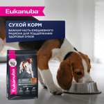 Eukanuba паучи для взрослых собак с говядиной 100 г