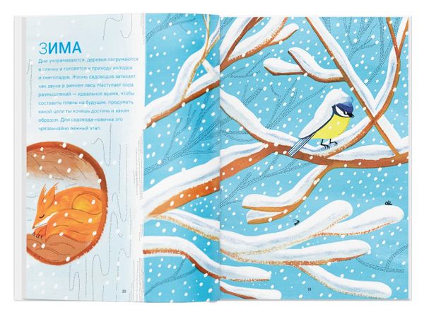 Сад круглый год. Что такое пермакультура