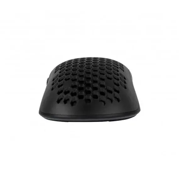 Arozzi FAVO Black