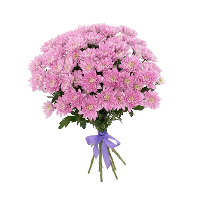 Хризантемы