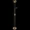 Торшер Arte Lamp Duetto A4329PN-2AB