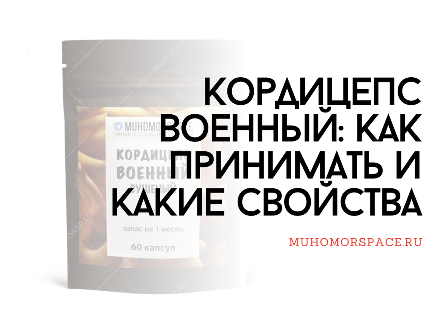 Кордицепс военный: как принимать и какие свойства