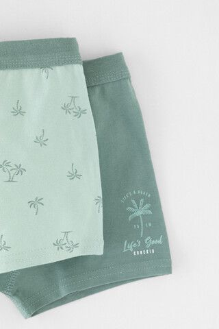 трусы/ уп  для мальчика  К 1980-2уп/полынь,голубая дымка,пальмы