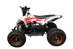 Квадроцикл MOTAX GEKKON 90cc