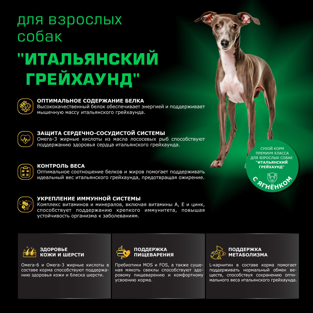 Корм сухой для взрослых собак породы Итальянский грейхаунд, с ягненком, 800 гр, QUATTRO
