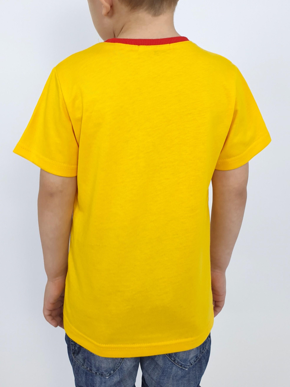 3-87-4 Футболка для мальчика