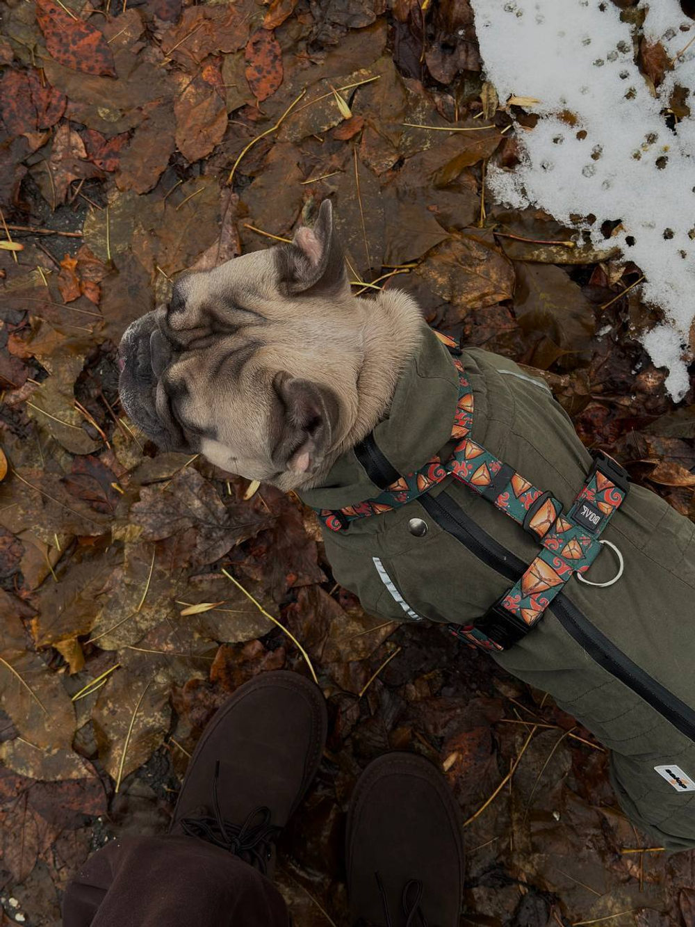 Шлейка Эчпочмак, наличие