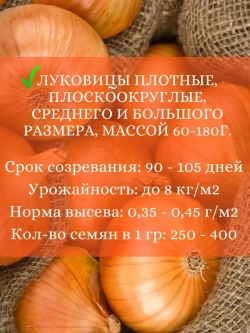 Семена Лук набор 3 шт по 0,5гр (Р,Б,Ш)