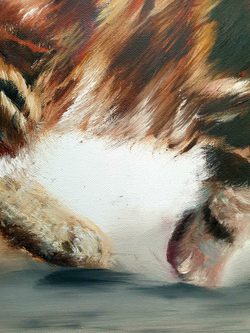 Кошечка