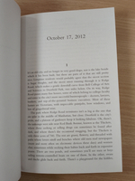 Holly (Stephen King)
