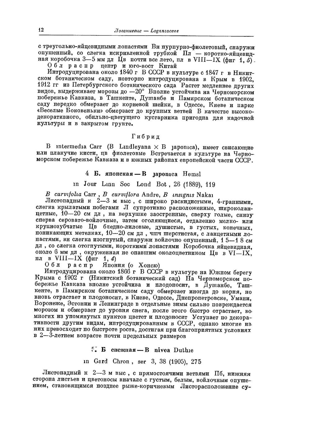 Деревья и кустарники СССР. Покрытосеменные семейства Логанивые-сложноцветные Том 6 | С.Я. Соколов